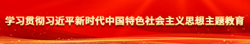 给我看一下日逼视频学习贯彻习近平新时代中国特色社会主义思想主题教育